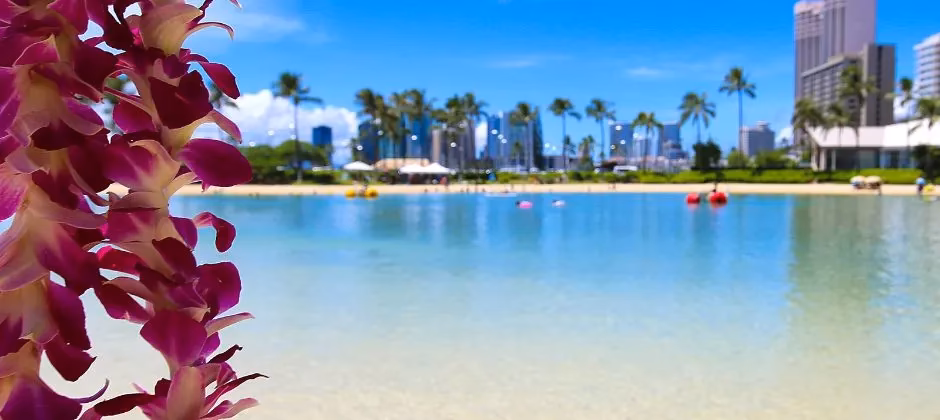 Who is Constructors Hawaii?