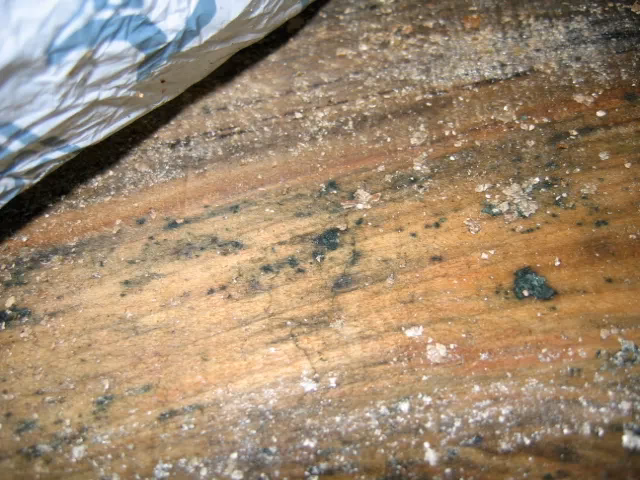 How do I remove bad characters from a maple file?