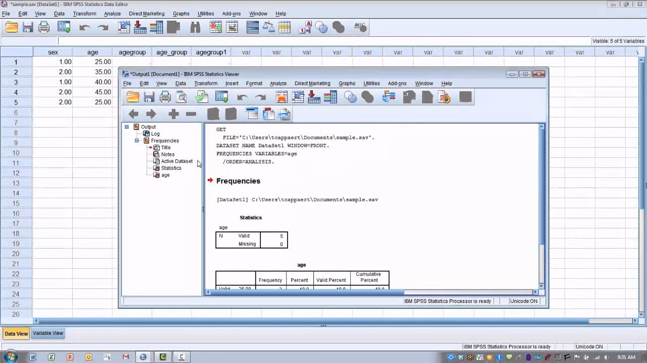 What is a IBM SPSS Statistics data file?