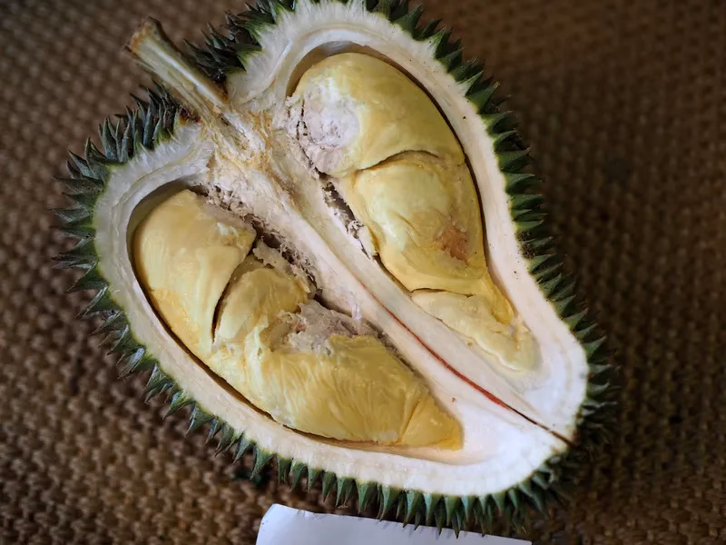Should you eat durian the wrong way?