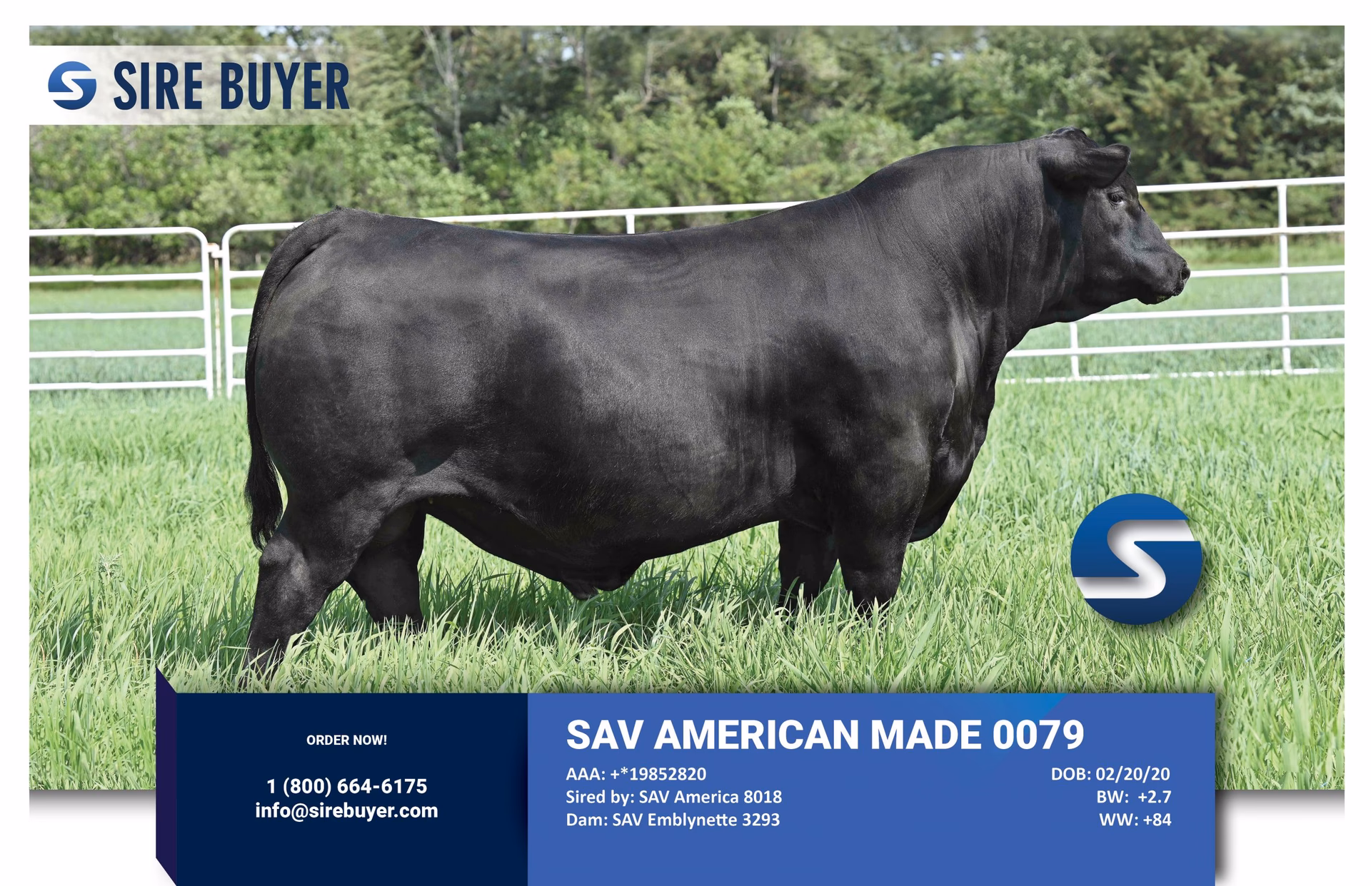 How much did Sav America sell for?